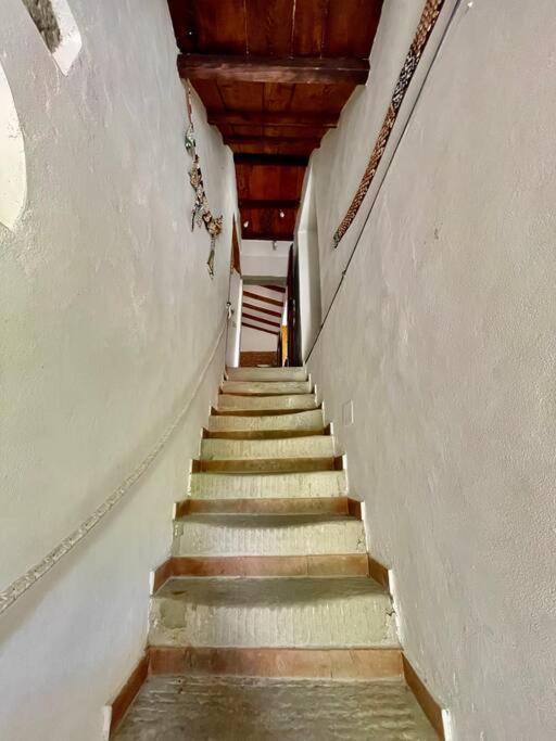 Il Colle - Pino Apartment Florenz