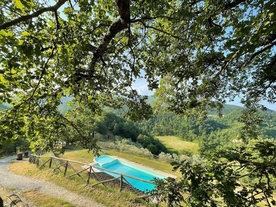 Apartment Il Colle - Pino Florenz